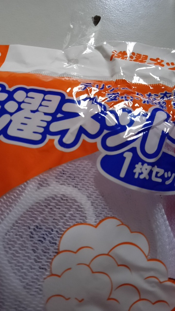 Bra Laundry Bag  Bh Underwear