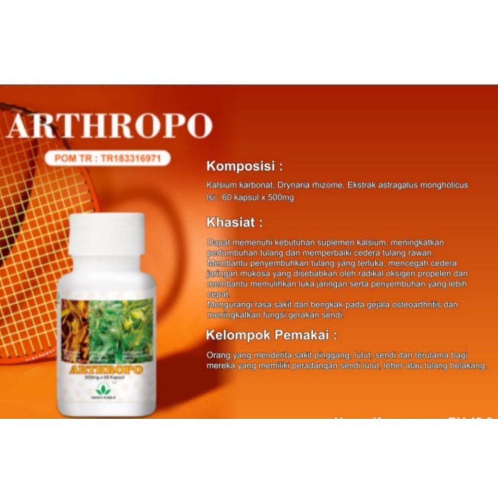 GreenWorld-Arthropo