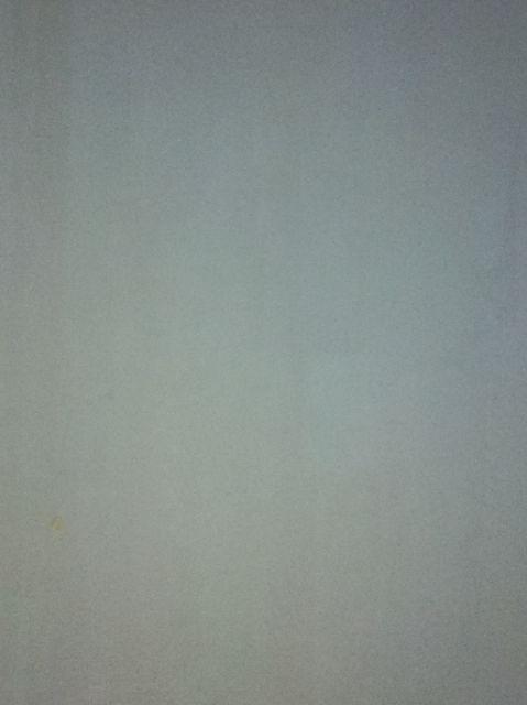 Cat Tembok Plafon Aries Gold 4,5kg Avian Brands