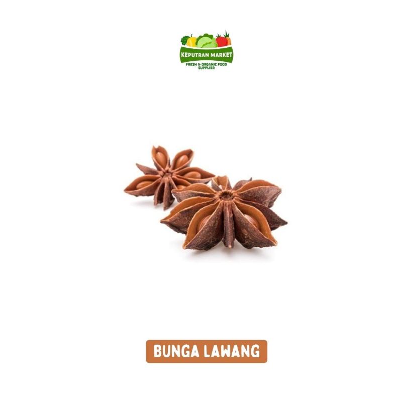 

Bunga Lawang 50 Gram / Bumbu Rempah