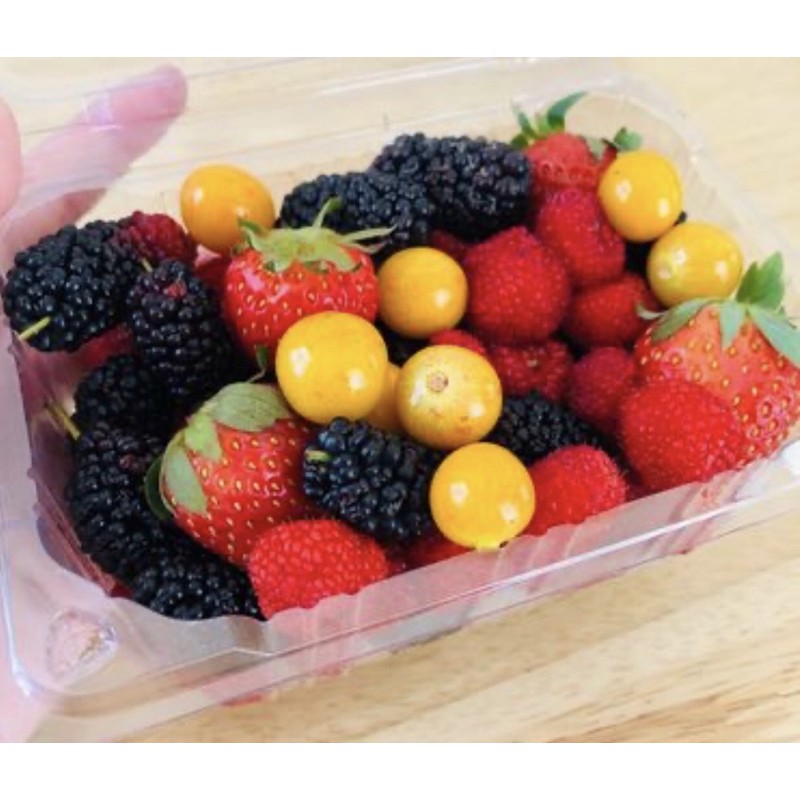

Mixed Berries