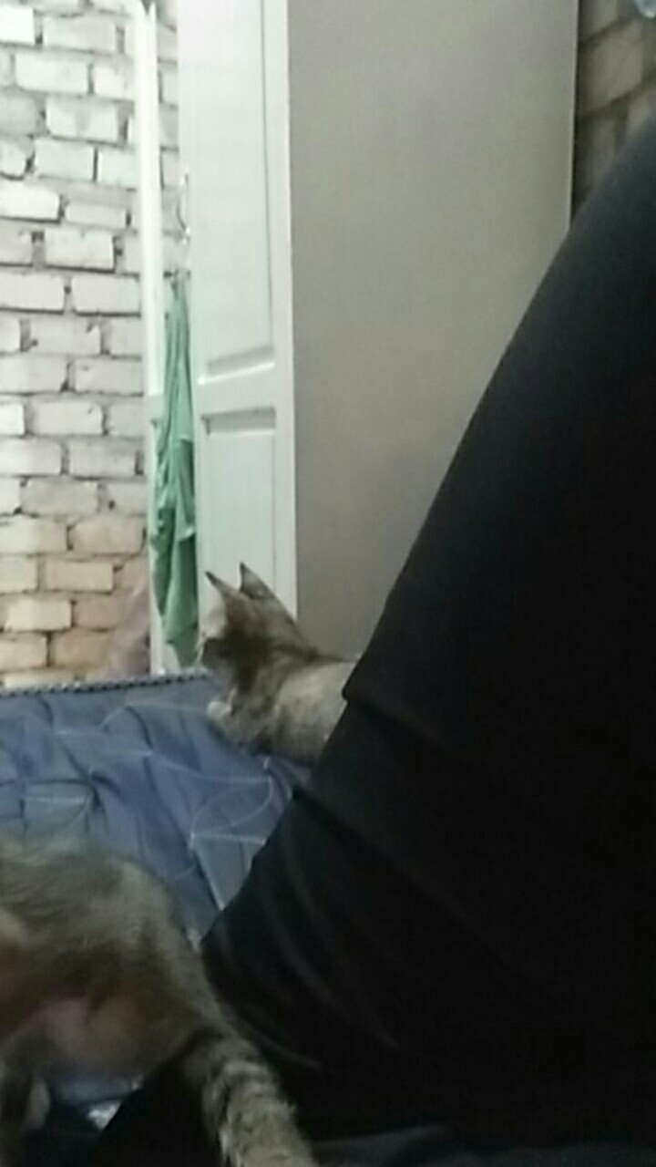 Atasan Batik Wanita Modern Batik Cassual Atasanbatik / Atasanwanita