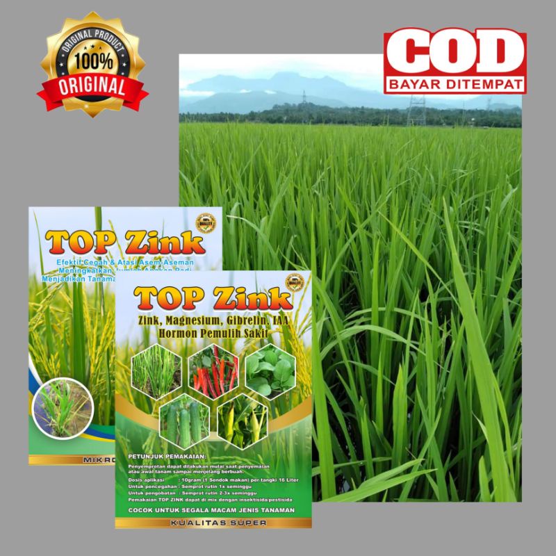 PUPUK TERBAIK..! TOP ZINK 150GR UNTUK MEMPERBANYAK ANAKAN PADI, CEGAH DAN ATASI ASEM ASEMAN