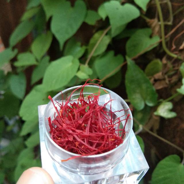 

SAFFRON PREMIUM IRAN "SUPER NEGIN" 1 gr 1/2 gr dan 1/4 gr