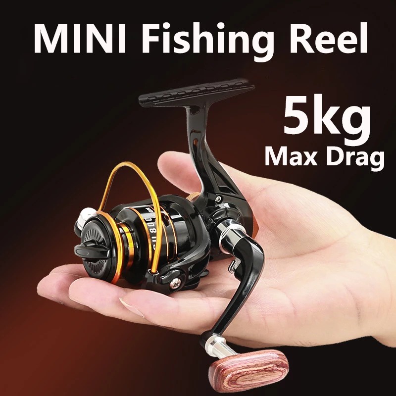 NEW REEL PANCING MINI CATROL PANCING ROLL PANCING KATROL PANCING ROL PANCING RIIL PANCING RILL PANCI