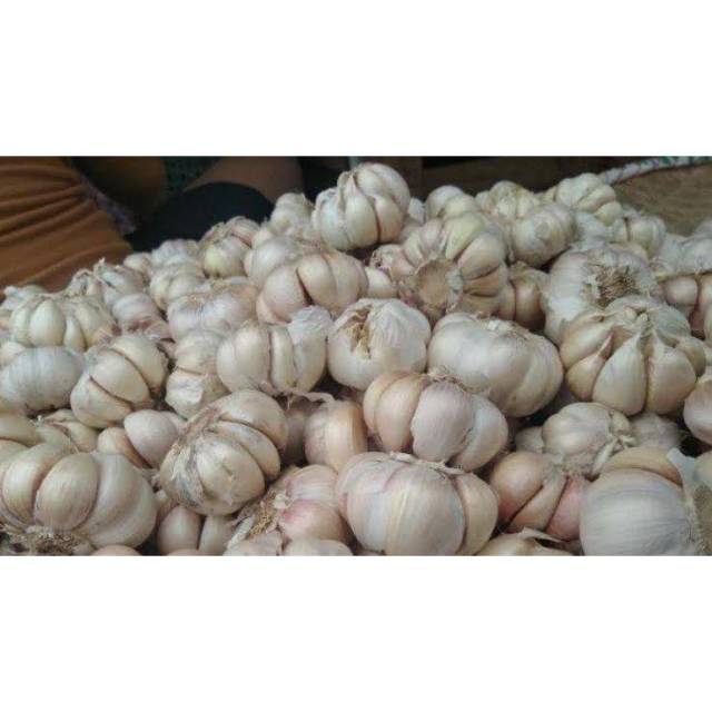 

Tokko Bawang Putih