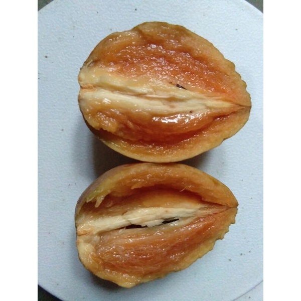 

Sawo Madu Asli Pangandaran. Beli minimal 2kg bonus 2 butir
