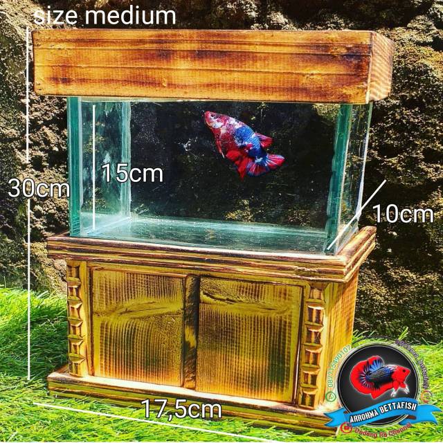 AQUARIUM MINI P17cm+ kabinet/lemari untuk ikan cupang ...