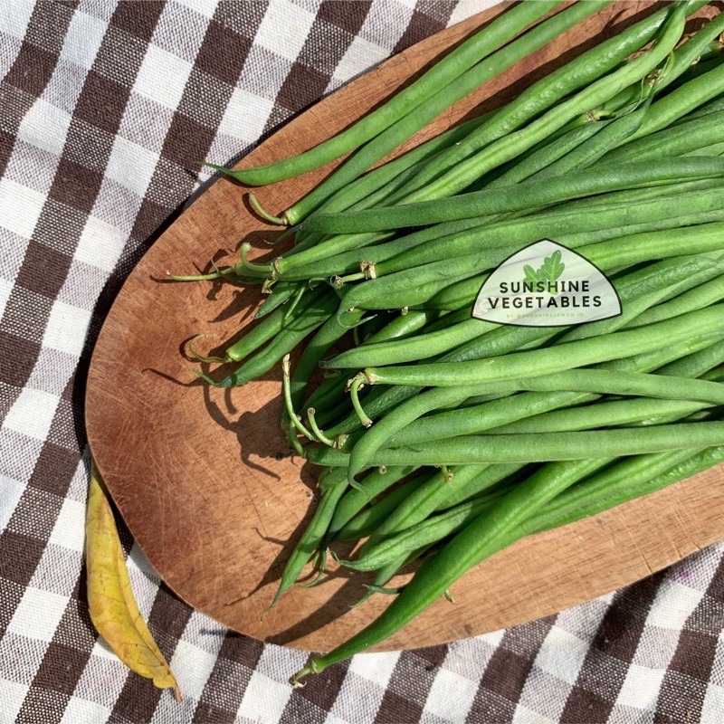 

BABY BUNCIS KENYA by Sunshine Vegetables