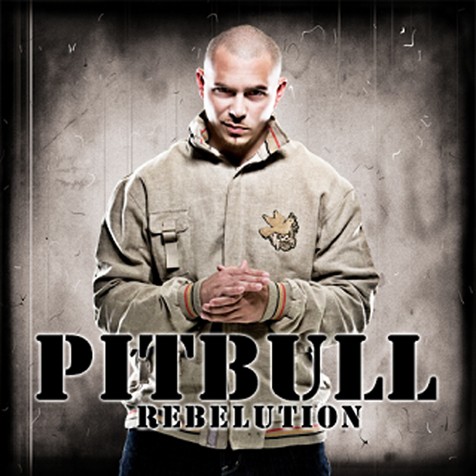 CD MUSIC PIT BULL COVER PUTIH