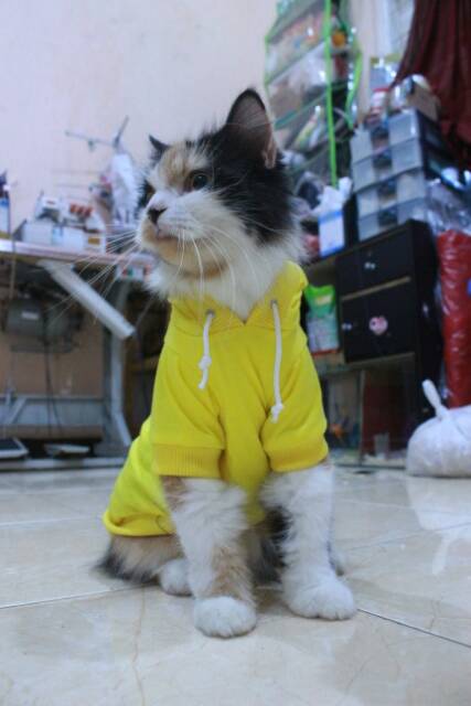 Kaos hoodie kuning lucu untuk kucing dan anjing / baju kucing murah size S M L XL