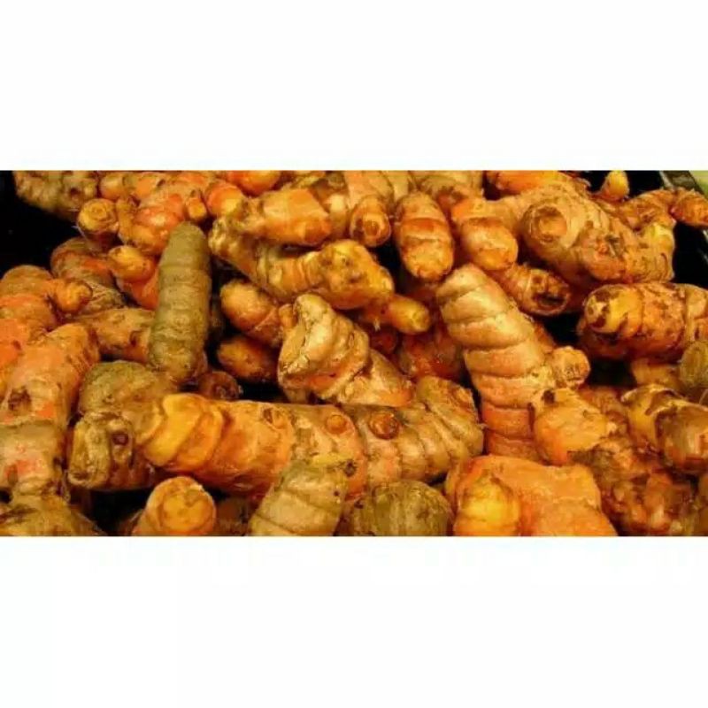 

kunyit 1 kg