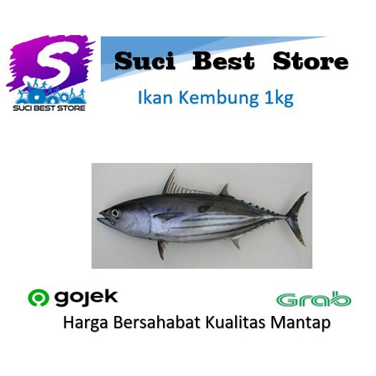 

Ikan Kembung Fresh 1kg Promo Bandung By Suci Best Store