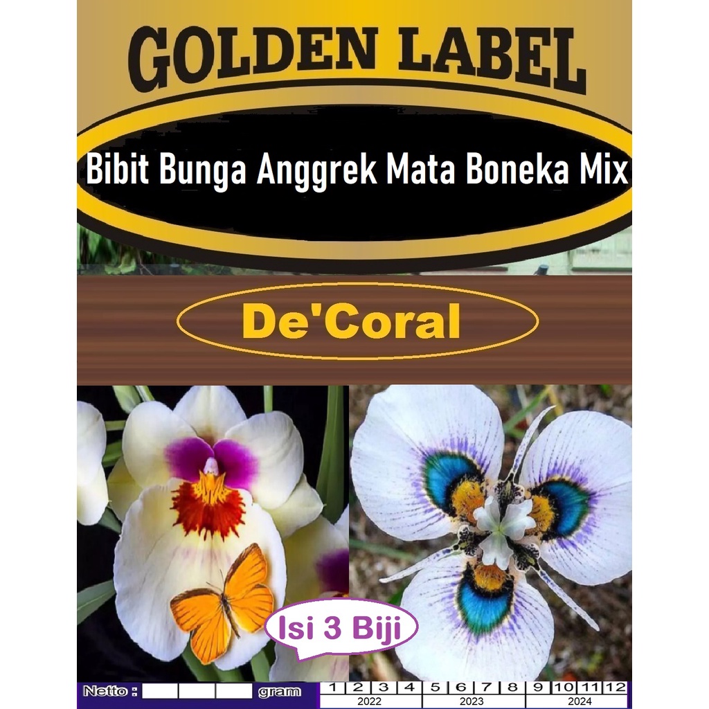 Bibit Bunga Anggrek Mata Boneka Mix|Benih Bunga Anggrek|Anggrek Boneka
