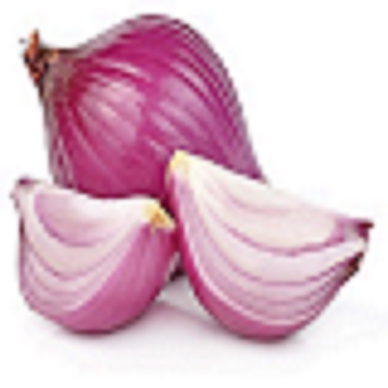 Benih Kubis GREEN GEM Sakata Bibit Kol Dataran Rendah isi 10 gram