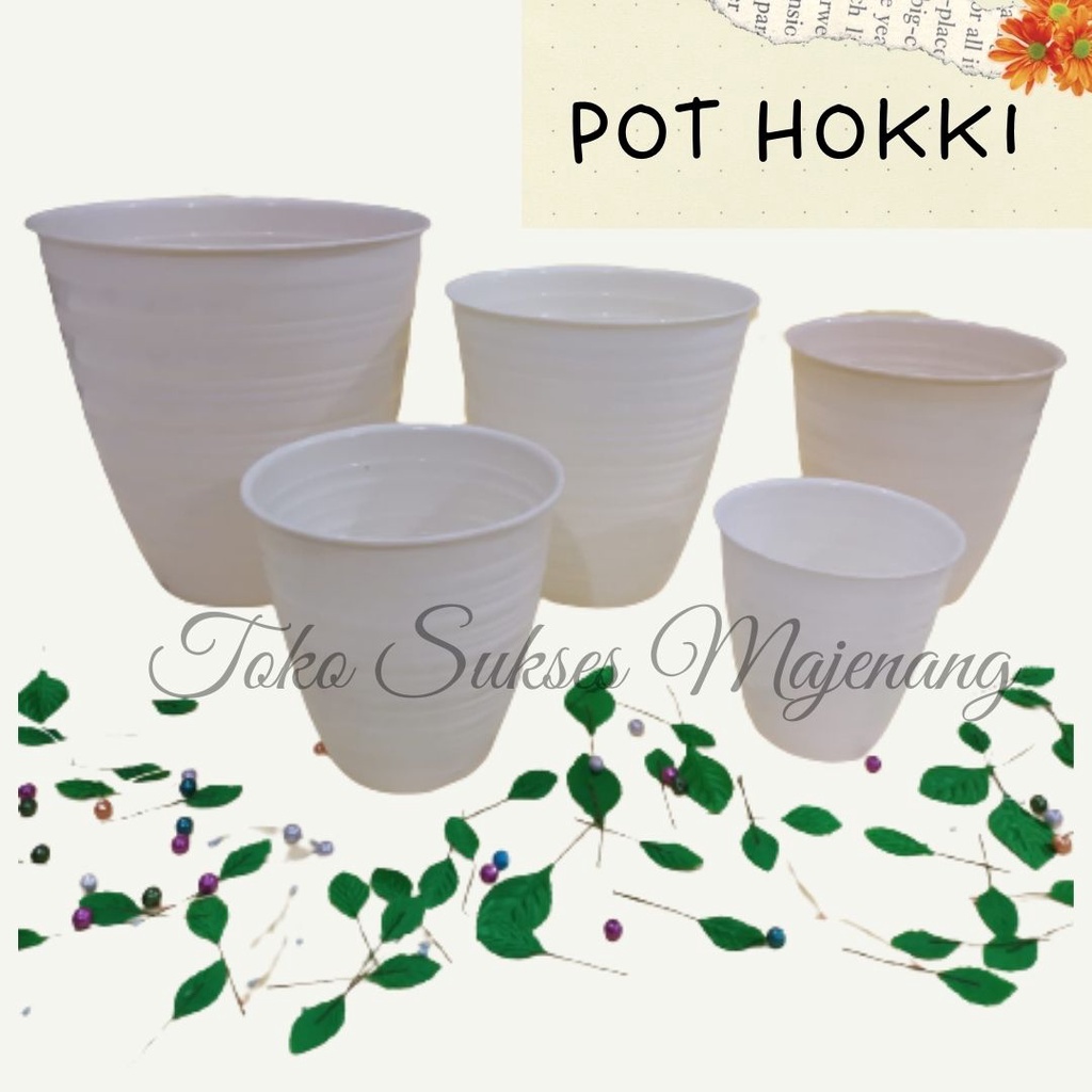 POT HOKI / POT HOKKI / POT TAWON TIRUS PUTIH / POT BUNGA PUTIH TAWON TIRUS / POT TAWON TIRUS / POT B