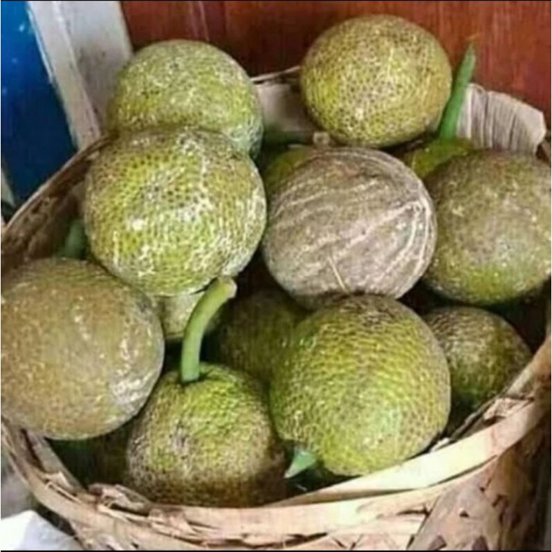 

buah sukun