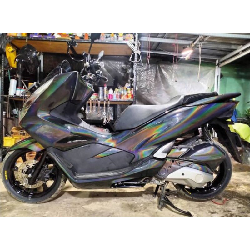 Cat hologram laser fine Cat hologram laser Cat hologram rainbow Cat hologram Cat hologram spider