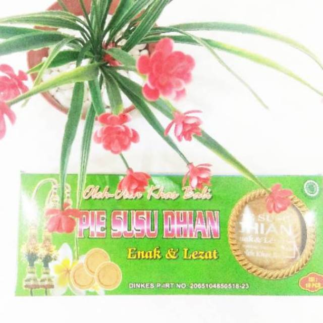 PIE SUSU DHIAN ISI 10 PCS