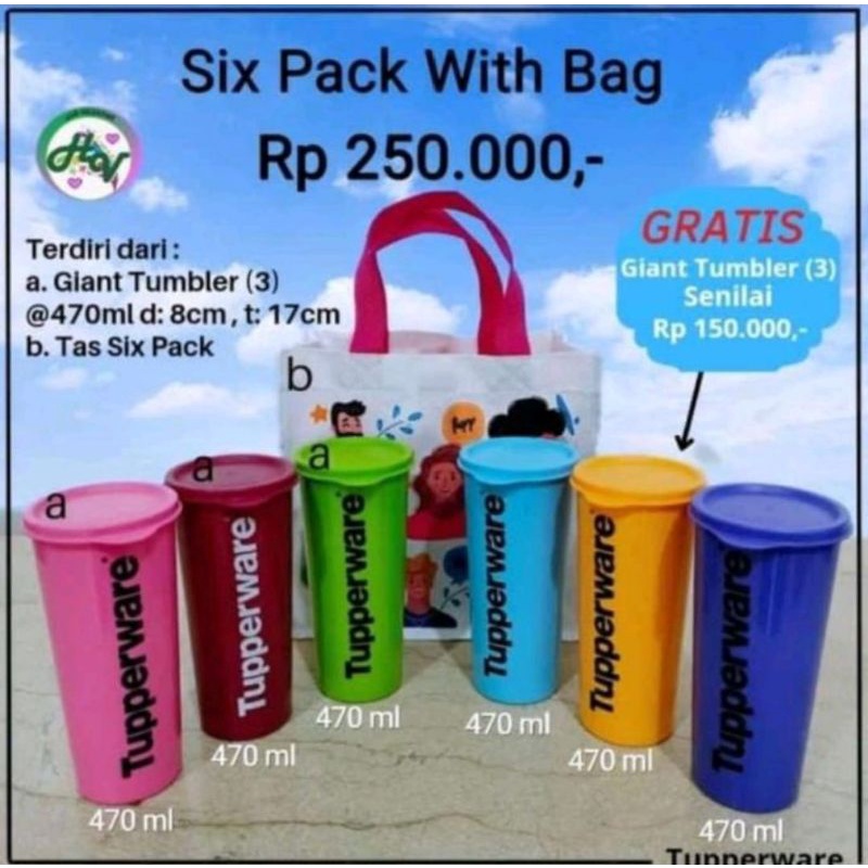 six pack tumbler with bag by tupperware