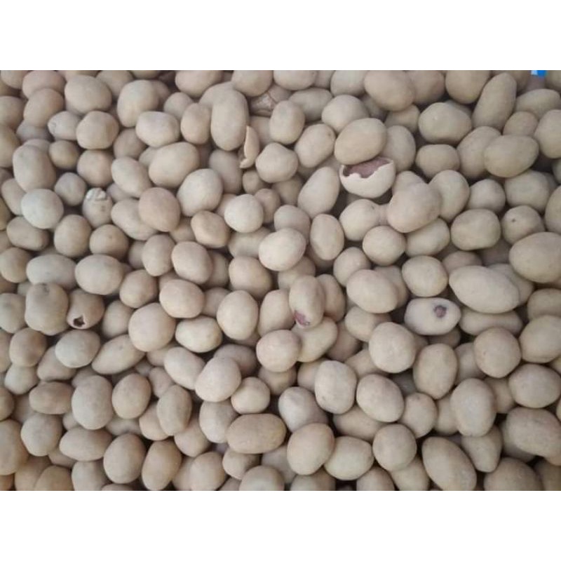 

KACANG OVEN 250 GRAM/KACANG OVEN/CEMILAN 2000/SNACK KILOAN CURAH MURAH