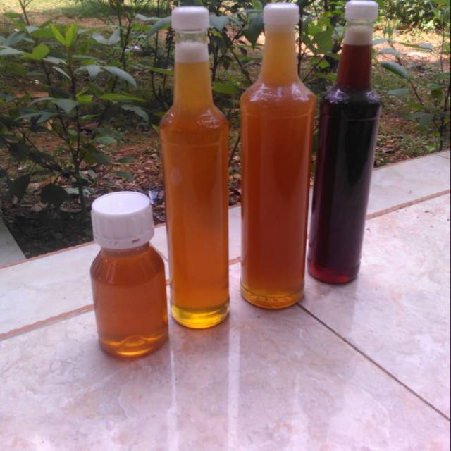 

Madu asli lebah melifera