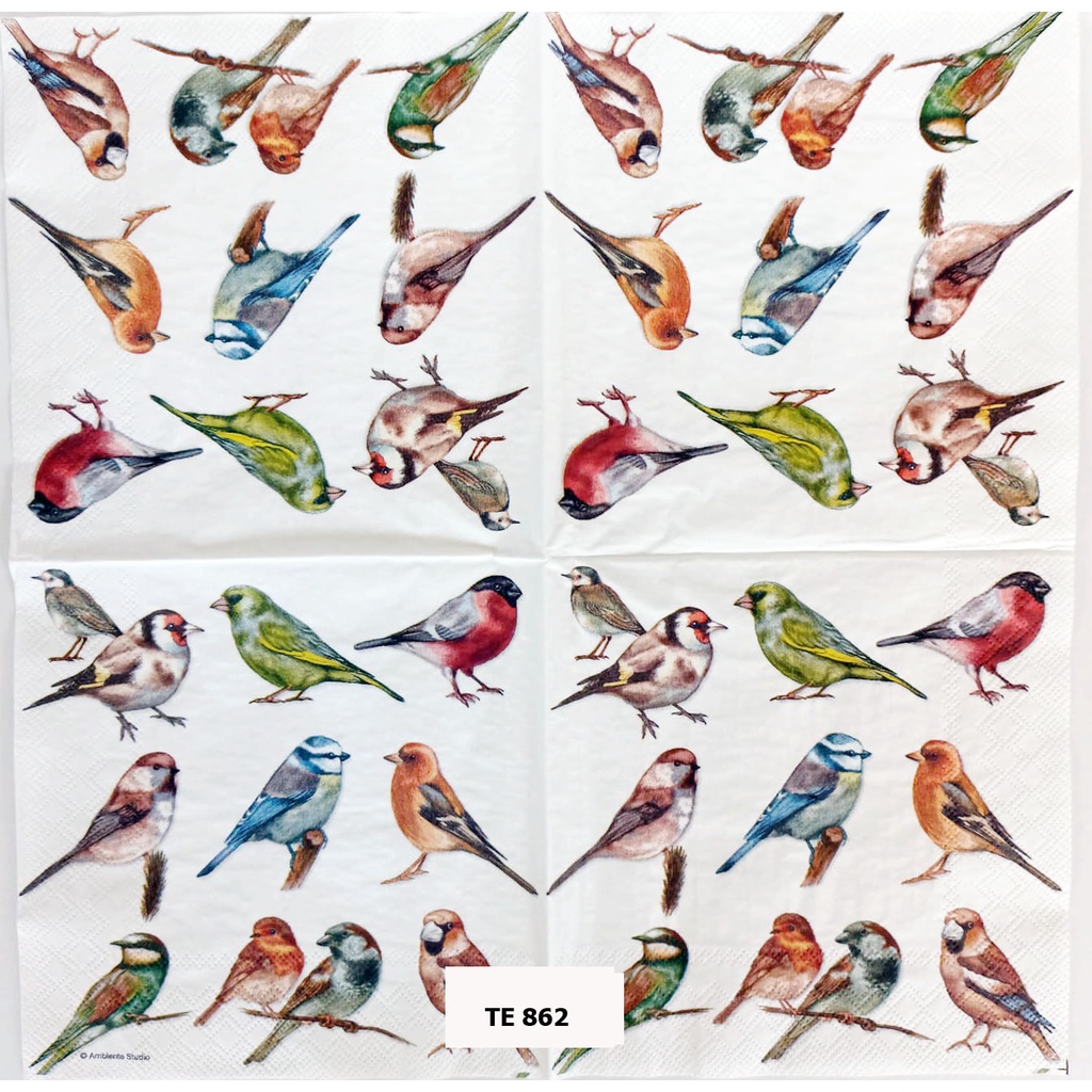 TISU NAPKIN DECOUPAGE EROPAH 33X33 CM TE 862 TTS