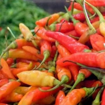 

Cabe Rawit Pedas 200gr