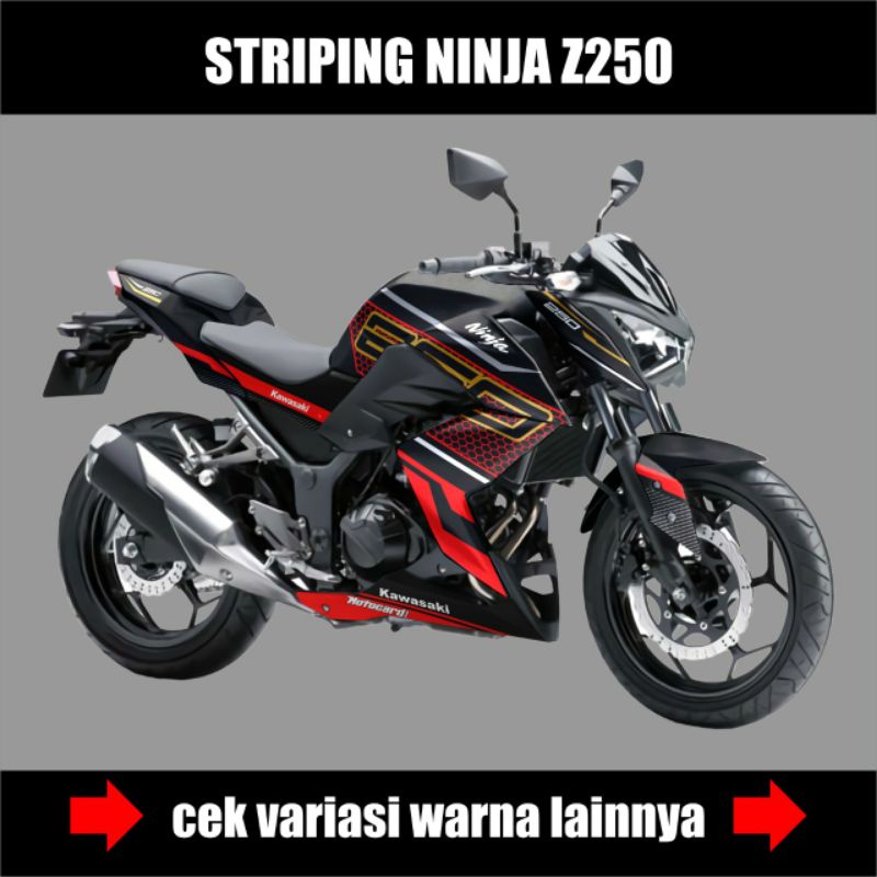 STRIPING KAWASAKI NINJA Z 250 / STIKER VARIASI NINJA Z250