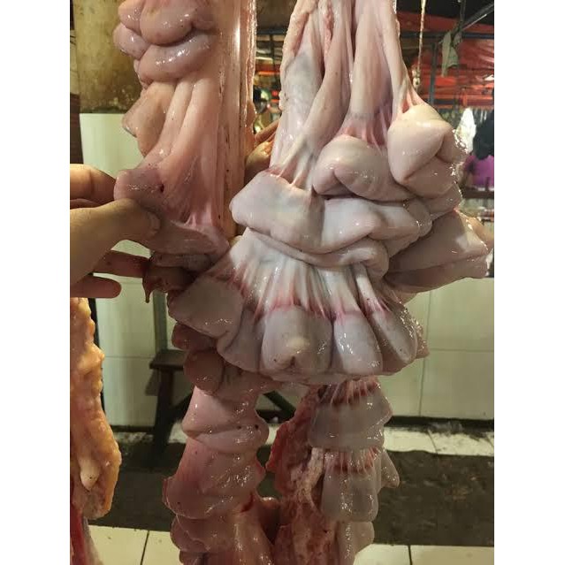 Usus Sapi / Tamusu / siap di olah / khusus GRAB / Gojek