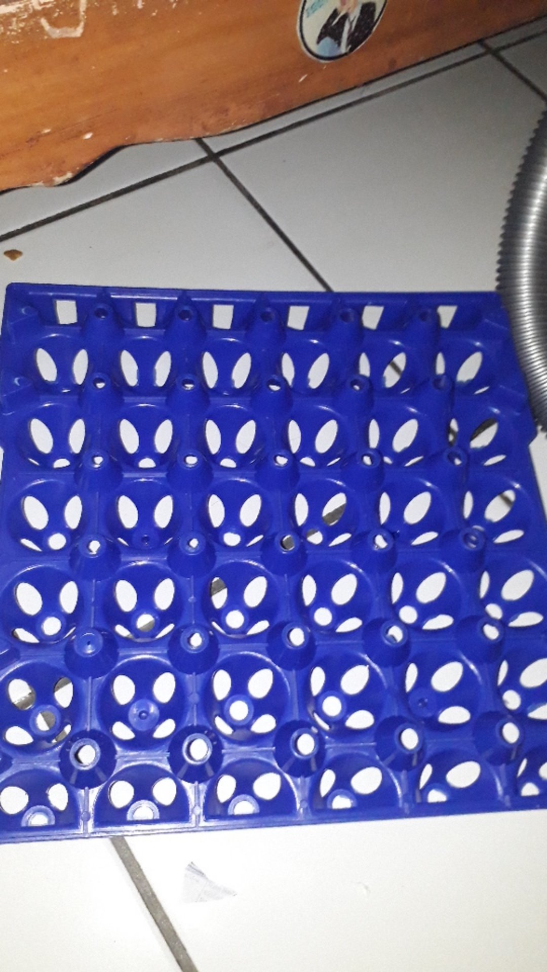 Green Leaf Keranjang Telur 30s Eggie Egg Container Gl3995