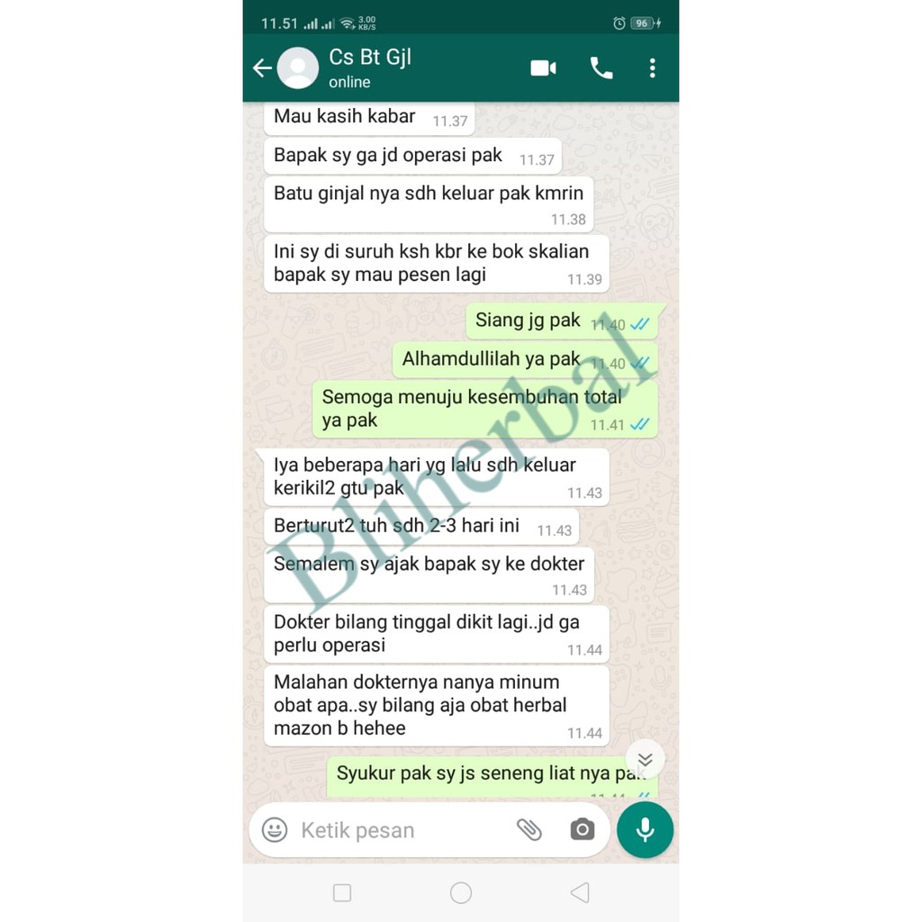Obat Herbal Khusus Batu Ginjal Dan Batu Empedu-4