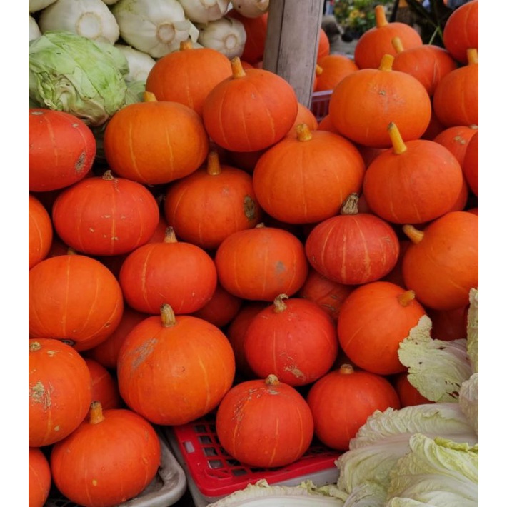 

kabocha