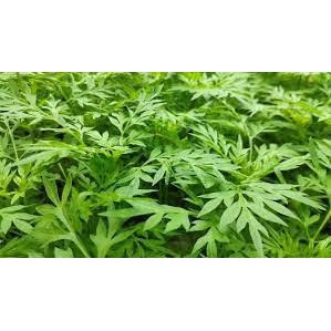 

Kenikir Organik 250g