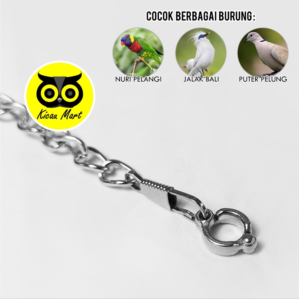 RANTAI BURUNG NURI PELANGI RING BORGOL IMPORT 7 MM RANTAI FF UMBARAN FREE FLYING RANTAI GELANG KAKI RING LATIH BURUNG PUTER PELUNG DERKUKU TEKUKUR BESAR JALAK BALI