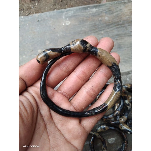 GELANG AKAR BAHAR HITAM BONGGOL ASLI