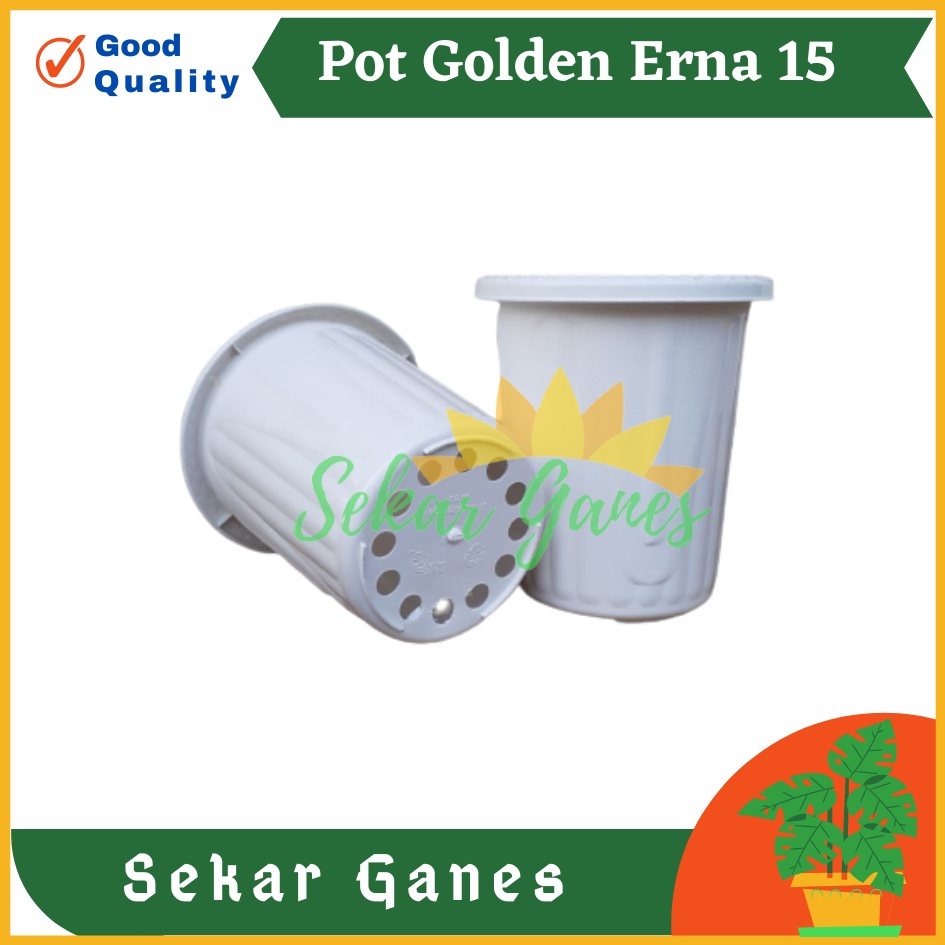 Sekarganes Pot GE15 Golden Erna 15 Putih Bening Transparan Hitam Merah Bata Coklat Terracotta Garden Of Love Mirip Pot Yogap Ypt 10 13 15 Putih Merah Bata Transparan Pot Yogap 17 18 19 Pot Yogap Murah Pot Bunga Tinggi Pirus Tegak Bagus Tebal