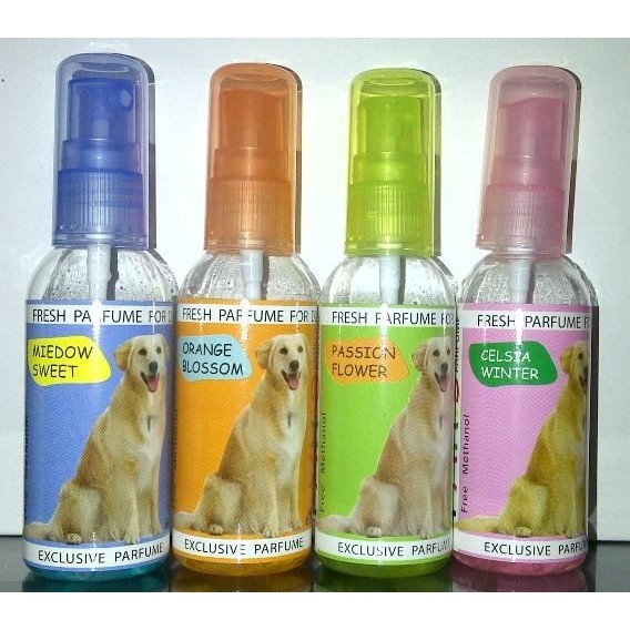 Parfum Anjing Paris Dog 60ml Exclusive Perfume Minyak Wangi Parfume