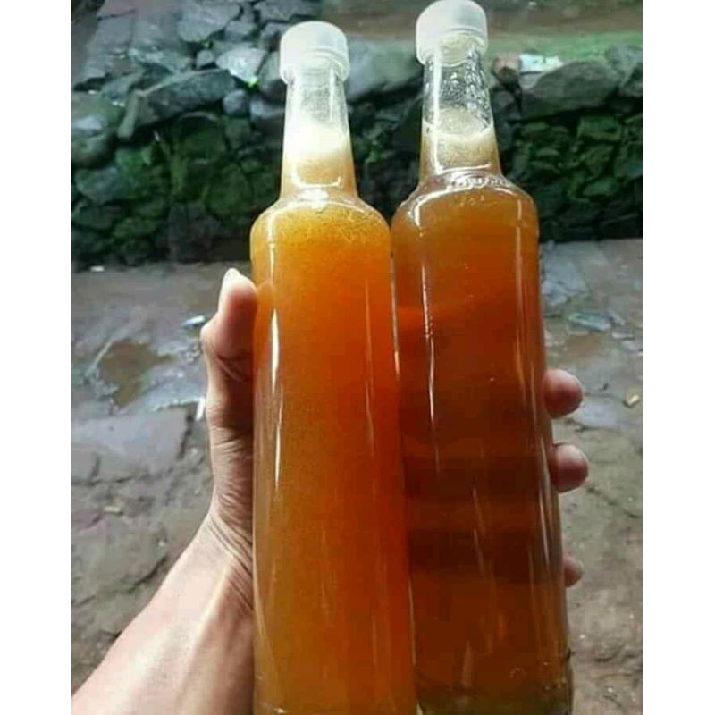 

Madu Asli dari Hutan