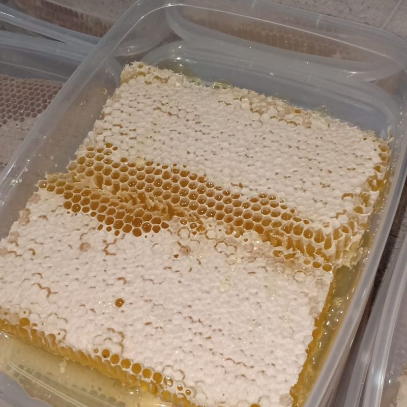 

[COD] MADU SARANG MELIFERRA MADU ALAMI TERMURAH 500 GRAM (GROSIR)