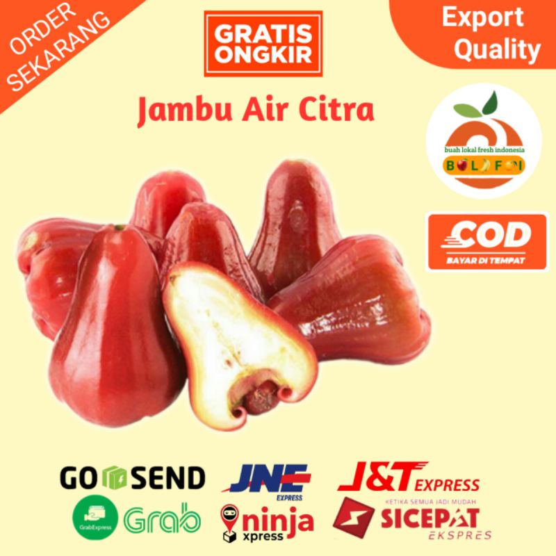 

BUAH JAMBU AIR CITRA