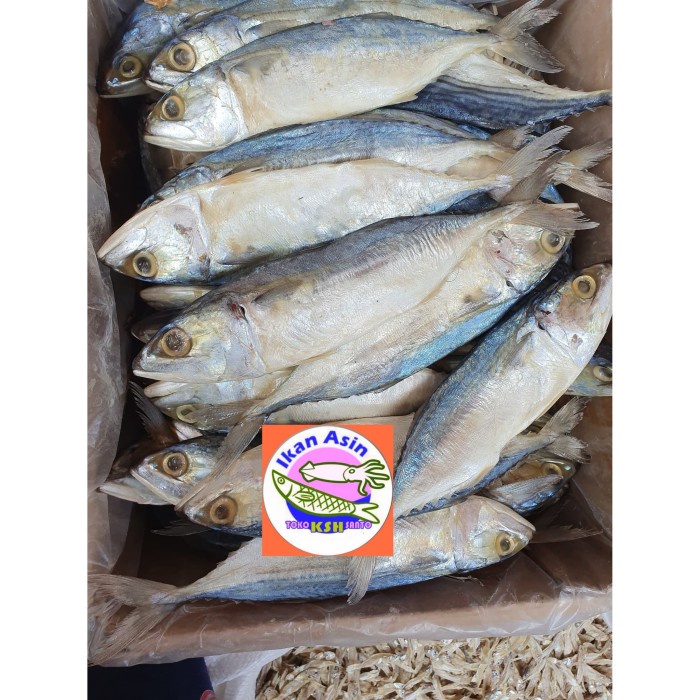 

Q12Sa Ikan Asin Peda Putih 1Kg D51qs448