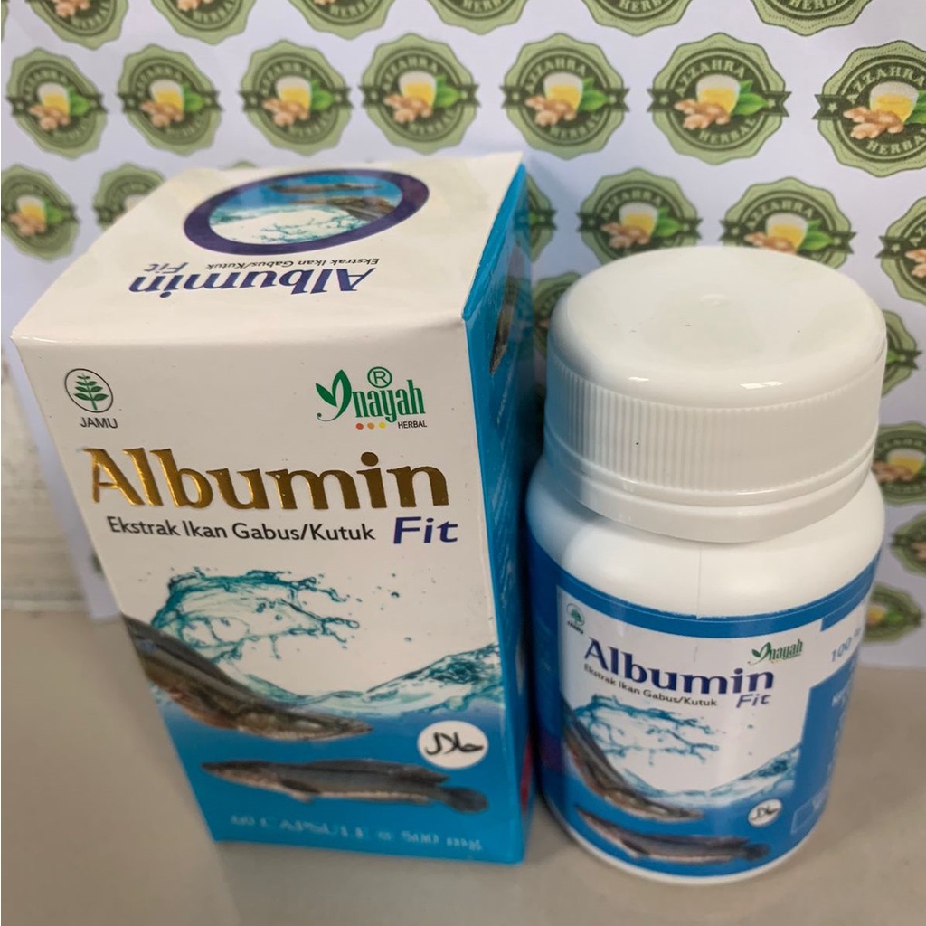 Albumin Fit Premium 5x - Mempercepat Penyembuhan Pasca Operasi - Ekstrak Ikan Gabus 60 Kapsul Albumin Fit Ekstrak Ikan Gabus / Kutuk 60 Kapsul