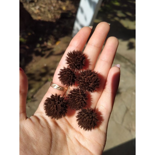 bunga kering rustic mahar murah hiasan mahar