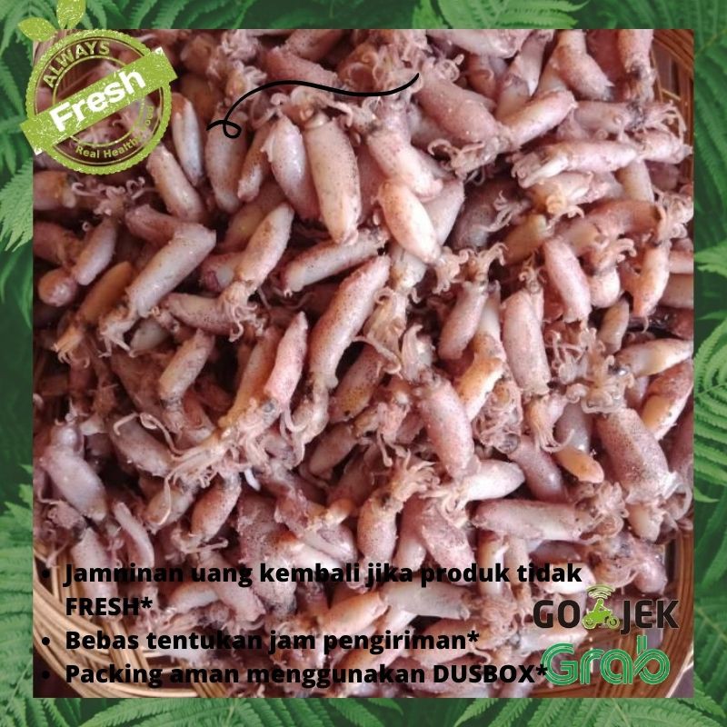 

CUMI CUMI KERING FRESH