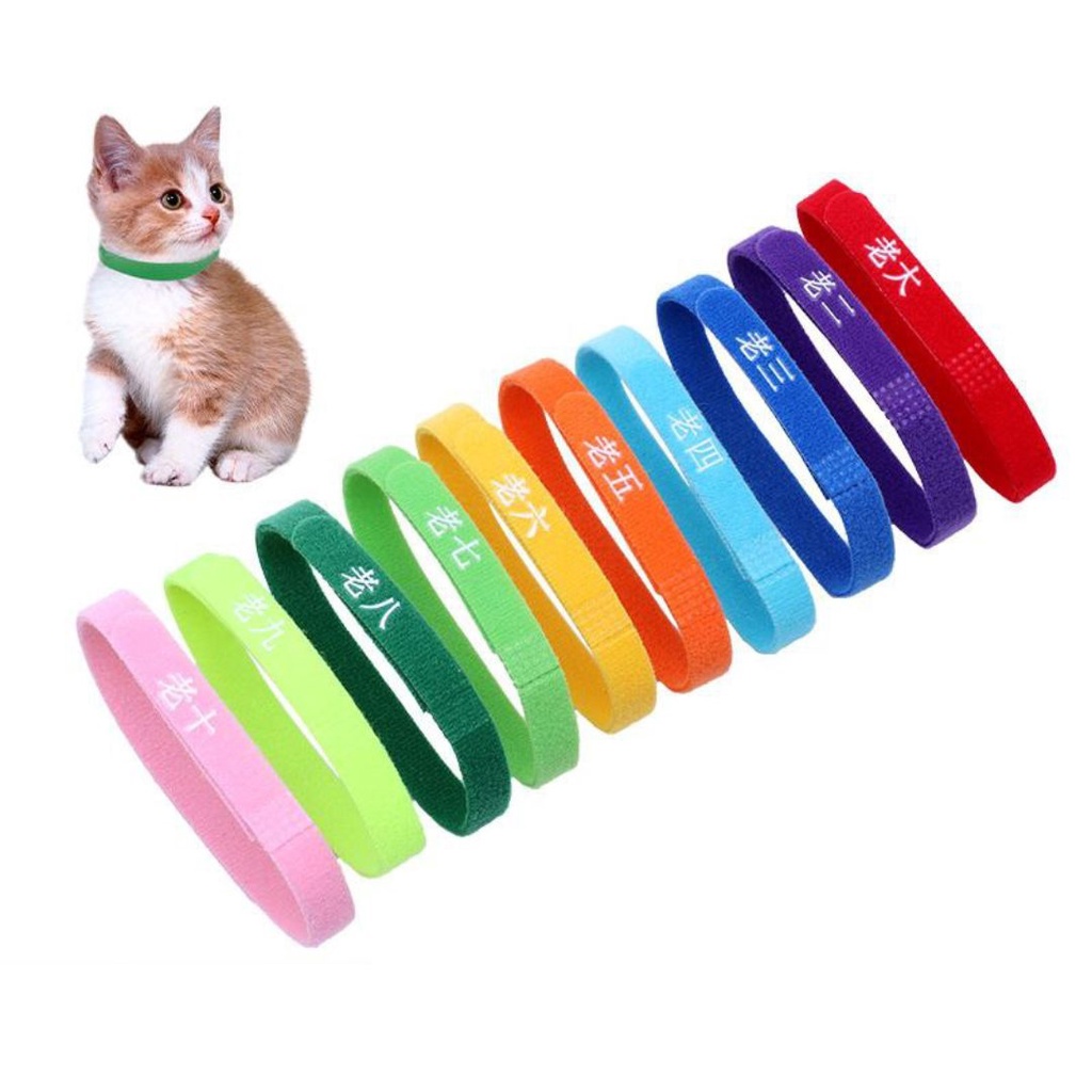 Penanda Kitten Whelp Puppy ID adjustable Collar Kalung Anak Kucing Anjing Kalung Breeder Pet Collar FEFARM