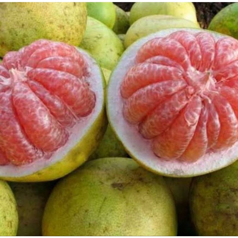 

Jeruk Bali 1kg
