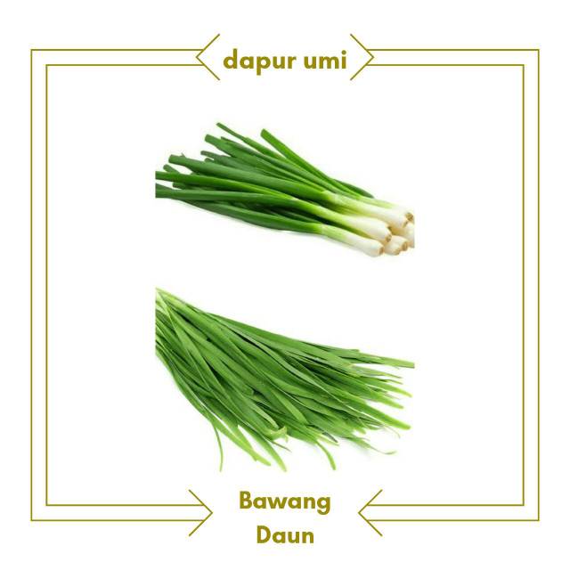 

BAWANG DAUN - SAYUR SAYURAN SEGAR PURWAKARTA