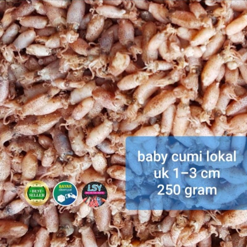 

ikan asin baby cumi lokal super1 250gram