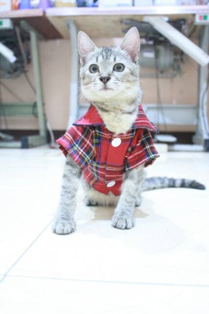 Kemeja kotak-kotak merah lucu untuk kucing dan anjing size S M L XL / baju kucing murah